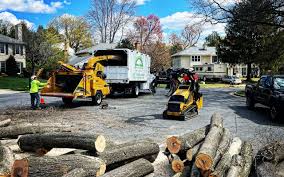 Best Firewood Processing and Delivery  in Gurnee, IL